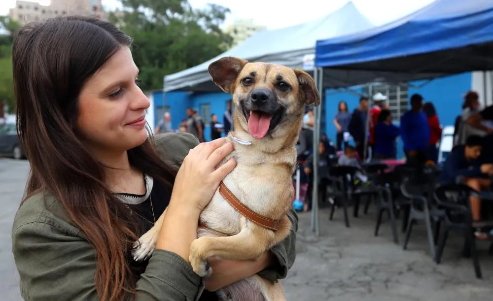 Jacareí ultrapassa marca de 2,2 mil castrações de cães e gatos em 2026