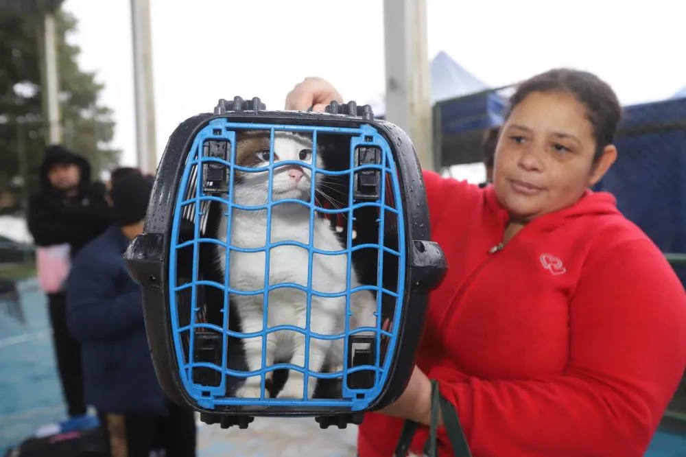 Mutirão no Parque Meia-Lua é concluído com castração de mais de 300 cães e gatos